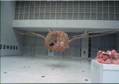 Hnízdo, instalace ve Veletržním paláci, 2002
