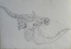 Studie figury, štěcová kresba tuší, 2003