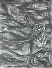 Ryby, kresba uhlem, studentka přijata na AVU, obor kresba, 2000