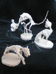 Studie zvířat, 2006